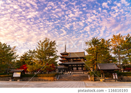 [奈良縣]法隆寺黃昏時分充滿活力的秋日天空 116810193