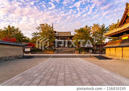 [奈良縣]法隆寺黃昏時分充滿活力的秋日天空 116810195