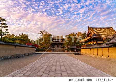 [奈良縣]法隆寺黃昏時分充滿活力的秋日天空 116810197