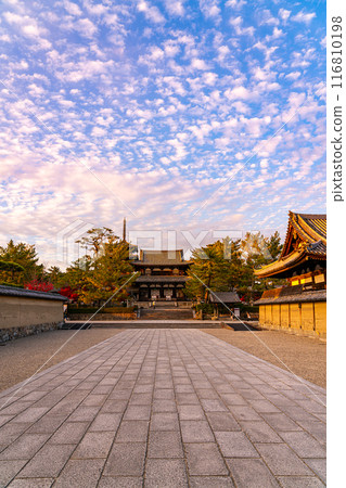 [Nara Prefecture] A dynamic autumn sky at dusk over Horyuji Temple 116810198