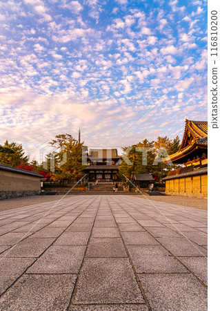 [奈良縣]法隆寺黃昏時分充滿活力的秋日天空 116810200