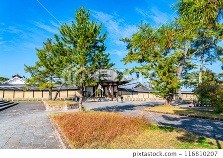 [Nara Prefecture] The South Gate of Horyuji Temple under a beautiful blue sky 116810207