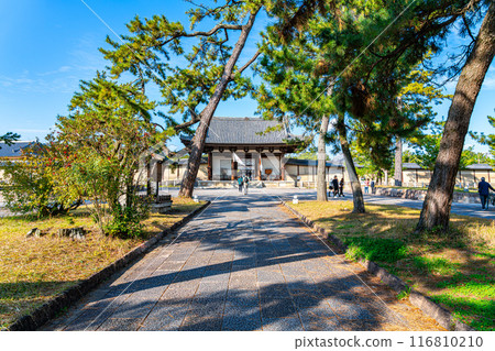[Nara Prefecture] Horyu-ji Temple, with its impressive approach surrounded by pine trees 116810210