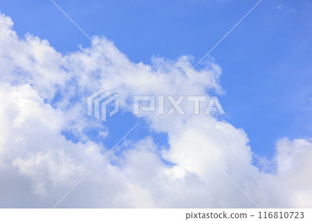 夏天的藍天白雲 夏天的藍天白雲 116810723