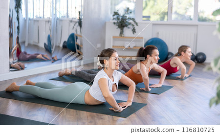 Sportive women performing cobra pose of yoga during group training in training room Sportive women performing cobra pose of yoga during group training in training room 116810725