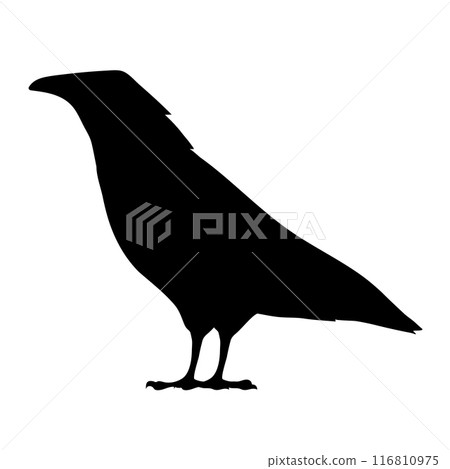 Bird Raven Crow Black Silhouette for Icon. Bird Raven Crow Black Silhouette for Icon. 116810975
