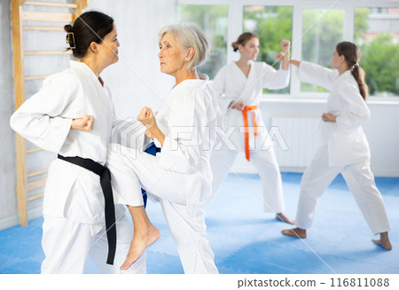 Elderly woman in pair exercising karate movements during group training Elderly woman in pair exercising karate movements during group training 116811088