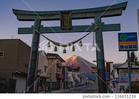 Golden Torii Gate and Mt. Fuji Golden Torii Gate and Mt. Fuji 116811239