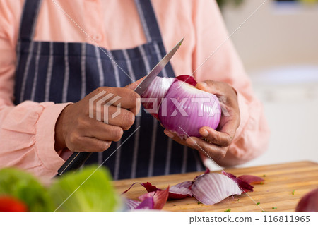 Chopping red onion, person preparing ingredients for cooking in kitchen Chopping red onion, person preparing ingredients for cooking in kitchen 116811965
