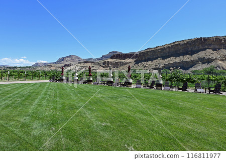 Winery grounds in Palisade, Colorado with elevated desert mesa in background. 116811977