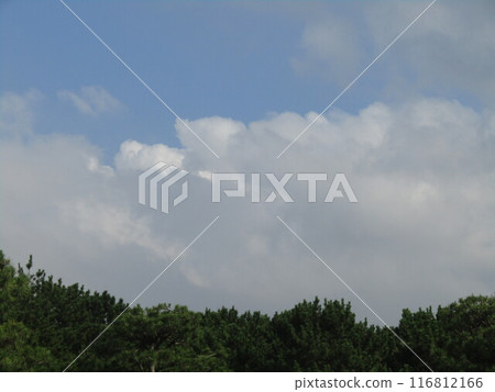 Beautiful blue sky at Inagehama after the rainy season 116812166