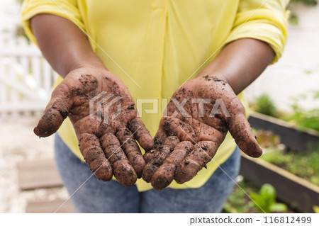 Senior african american woman presenting hands with dirt in garden at home Senior african american woman presenting hands with dirt in garden at home 116812499
