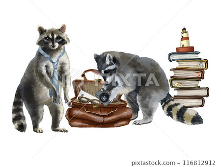 Two funny raccoons rummaging through a suitcase with things. Clipart without background. Watercolor illustration of travel, tourism, flights or cruise. Also suitable for design of a blog or postcards. Two funny raccoons rummaging through a suitcase with things. Clipart without background. Watercolor illustration of travel, tourism, flights or cruise. Also suitable for design of a blog or postcards. 116812912