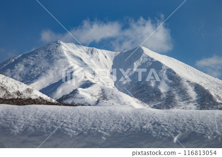Niseko Annupuri in a snowy world Niseko Annupuri in a snowy world 116813054