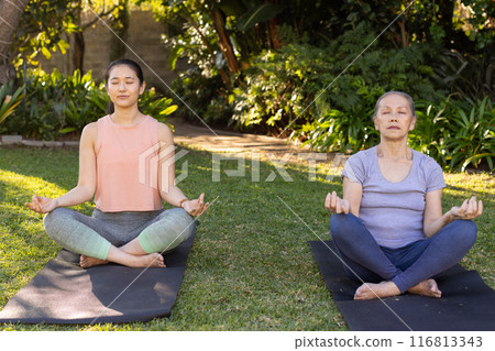Meditating on yoga mats, asian grandmother and granddaughter practicing mindfulness in garden Meditating on yoga mats, asian grandmother and granddaughter practicing mindfulness in garden 116813343
