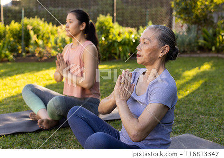 Practicing yoga, asian grandmother and granddaughter meditating on yoga mats in outdoor garden 116813347