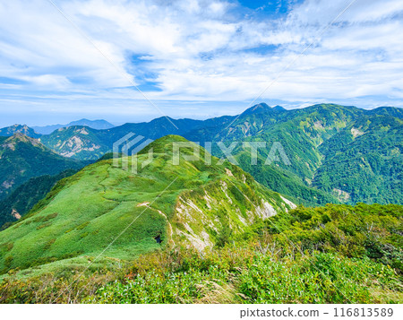 Climbing Mt. Amakasaka in summer: View of Sasadaira and Yakeyama from the summit Climbing Mt. Amakasaka in summer: View of Sasadaira and Yakeyama from the summit 116813589