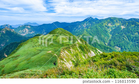 Climbing Mt. Amakasaka in summer: View of Sasadaira and Yakeyama from the summit Climbing Mt. Amakasaka in summer: View of Sasadaira and Yakeyama from the summit 116813590
