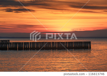 View of sand beach with wooden breakwaters on the Baltic Sea coast on sunset in Zelenogradsk. Russia 116813746
