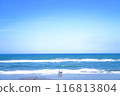 Blue sea and family 116813804