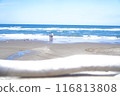 Parent and child looking at the sea 116813808