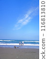 Children playing in the sea 116813810