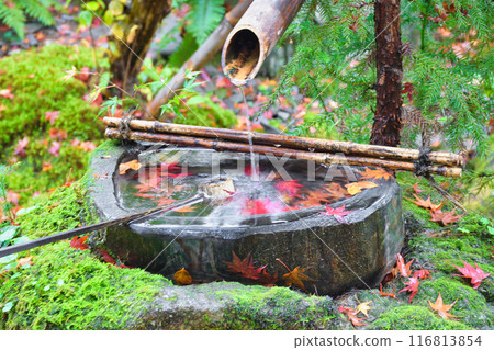 Ohara Hosen-in Temple: Beautiful autumn foliage at Ho-rakuen (Sakyo Ward, Kyoto City) 116813854