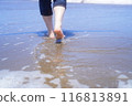 Walking by the seaside 116813891