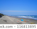 Coast, sea and sky 116813895