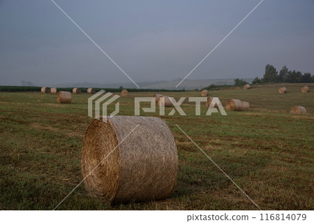roll field hill 116814079