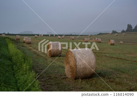 roll field hill roll field hill 116814090
