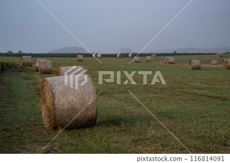 roll field hill 116814091