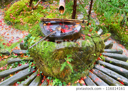 Ohara Hosen-in Temple: Beautiful autumn foliage at Ho-rakuen (Sakyo Ward, Kyoto City) 116814161
