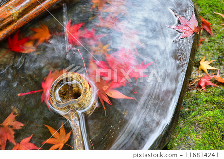 紅葉美麗的大原法仙院法樂園（京都市左京區） 116814241