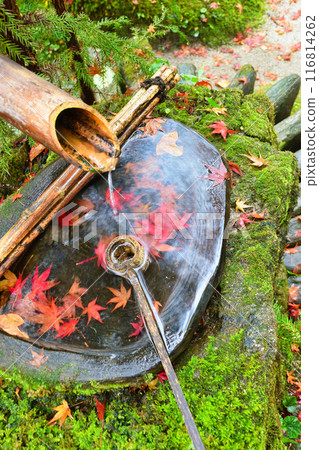 Ohara Hosen-in Temple: Beautiful autumn foliage at Ho-rakuen (Sakyo Ward, Kyoto City) 116814262