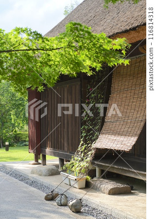 Japanese summer house with morning glories and blinds 116814318
