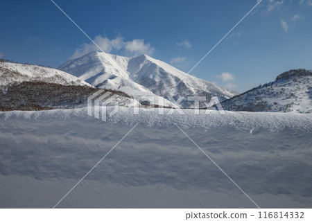 Niseko Annupuri in a snowy world 116814332