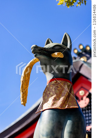 伏見Inari Taisha 伏見Inari Taisha 116814486