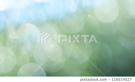 Sparkling fresh greenery, circular blurred background material Sparkling fresh greenery, circular blurred background material 116814827