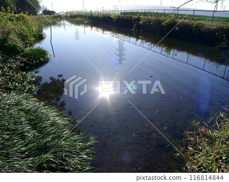 國家指定古蹟日田遺址矢大津水源地 (2010.12.5) 在泉水地觀察到自流現象 116814844