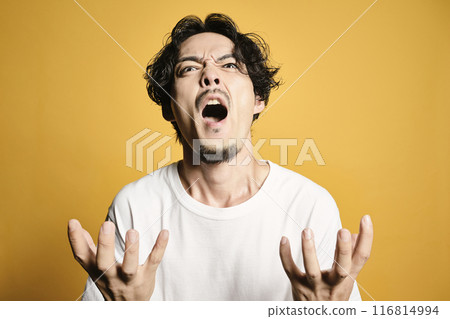 一個拿著彩色袋子擺姿勢的男人 一個拿著彩色袋子擺姿勢的男人 116814994