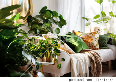 Cozy living room with indoor plants. Home gardening and biophilic design. Authentic home interior 116815232