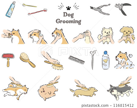 狗護理插圖集 狗護理插圖集 116815412
