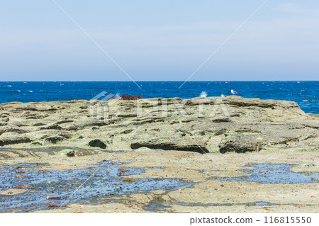 Senjojiki Beach, Fukaura Town, Aomori Prefecture 116815550