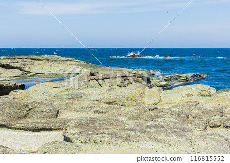 Senjojiki Beach, Fukaura Town, Aomori Prefecture 116815552
