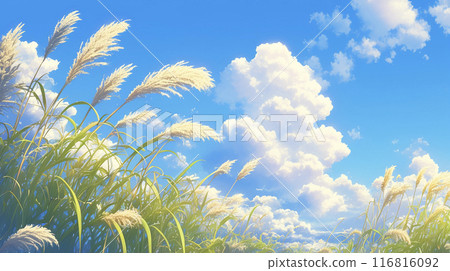 藍天映襯下的潘帕斯草AI影像 116816092