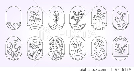 botanical bundle floral element hand draw logo with leaves. Logo for spa and beauty salon, boutique, organic shop and wedding 116816139