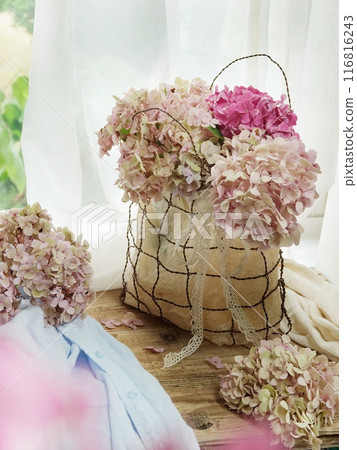 窗台上的繡球花已經褪色 116816243