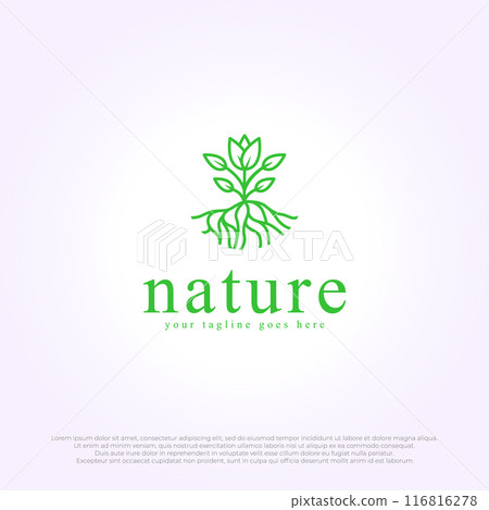 Tropical plant logo. Vector abstract badge for design of natural products, flower shop, cosmetics, ecology concepts, health, spa, yoga Center. 116816278