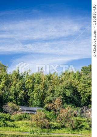 鄉下風景在秋天 鄉下風景在秋天 116816430